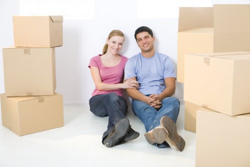Loading boxes and furniture into a removals van in Pimlico