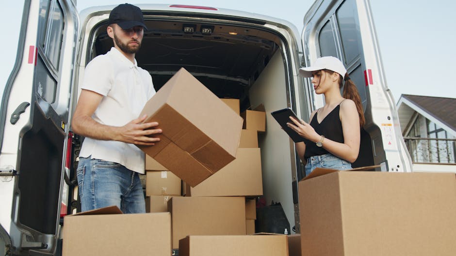Inside the open back of a large white van used for house removals, a man with a beard, wearing a black cap, white polo shirt, and blue jeans, is holding a medium-sized cardboard box as part of furnitu