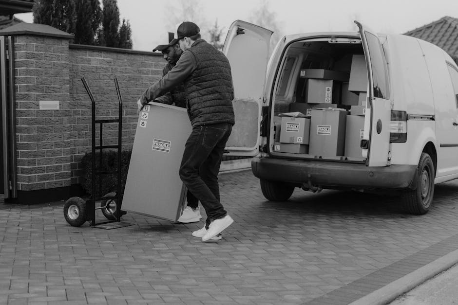 Inside the open back of a large white van used for house removals, a man with a beard, wearing a black cap, white polo shirt, and blue jeans, is holding a medium-sized cardboard box as part of furnitu